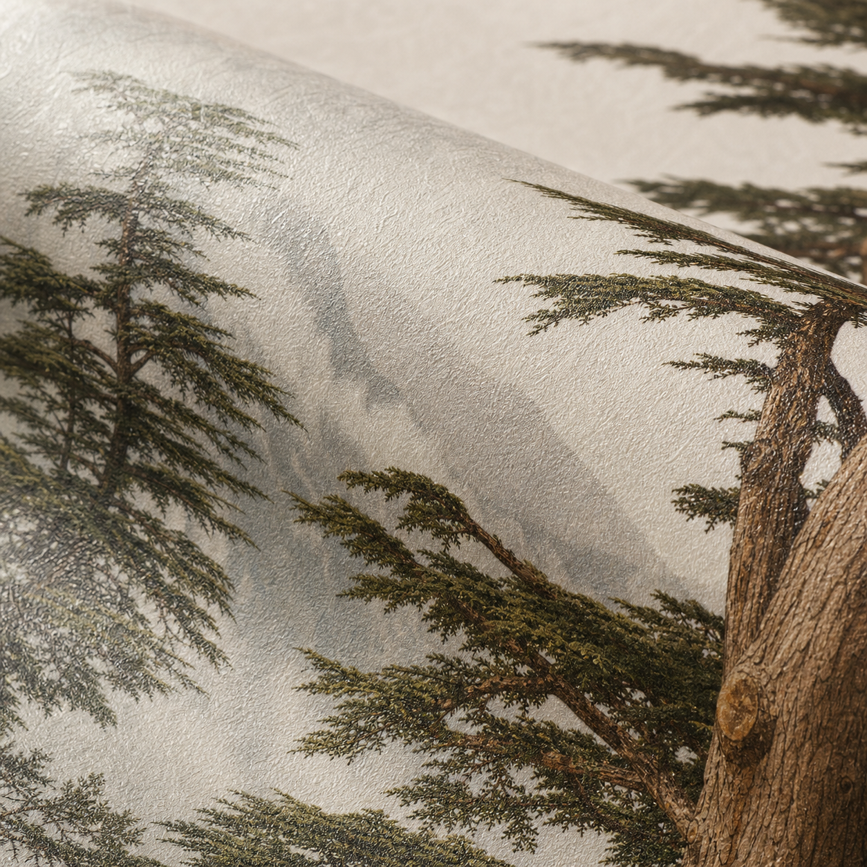 Cèdre de l’Atlas – gros plan de la texture mate et du motif