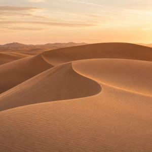 Dunes Minimalistes – visuel panoramique seul sans mise en scène