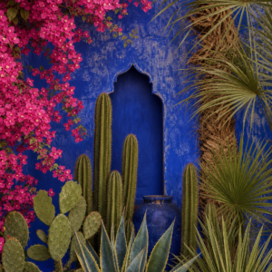 Jardin Majorelle Botanique – visuel sans cadre du tableau sur toile